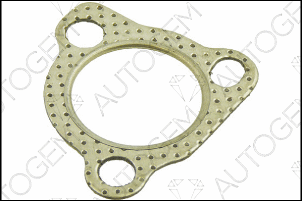 Seal, turbine inlet (charger) (CEG430)