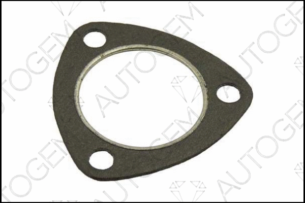 Gasket, exhaust pipe (CEG452)