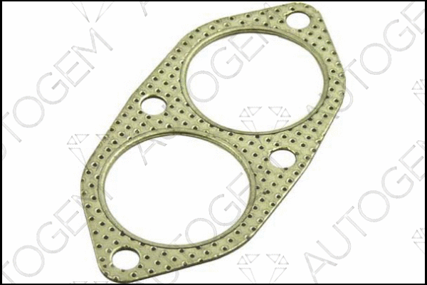 Gasket, exhaust pipe (CEG56)