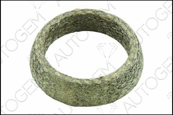 Seal Ring, exhaust pipe (CEG140)
