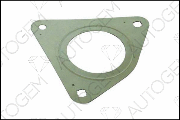 Gasket, exhaust pipe (CEG489)
