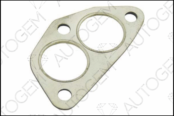 Gasket, exhaust pipe (CEG172)