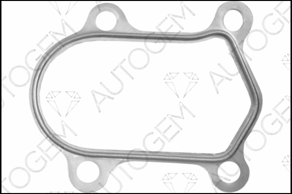 Gasket, exhaust pipe (CEG4703)