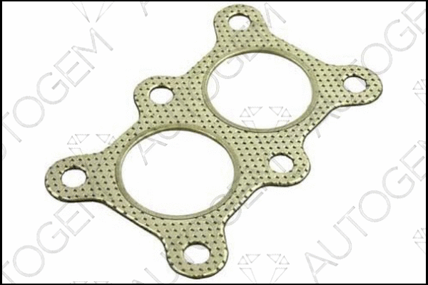 Gasket, exhaust pipe (CEG223)