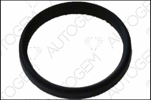 Gasket, intake manifold (CSM7807)