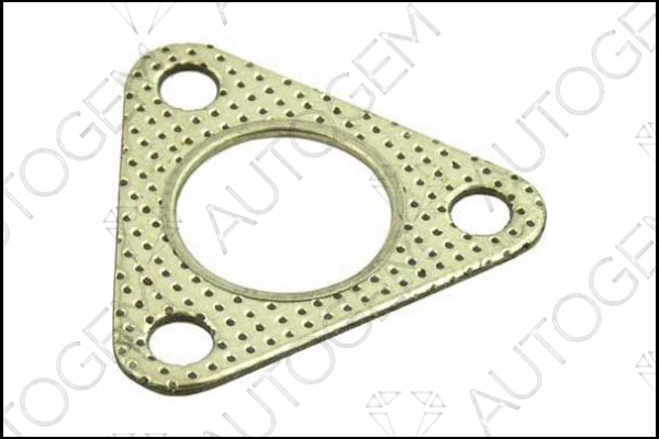 Gasket, exhaust pipe (CEG40)
