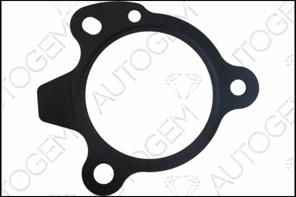 Gasket, exhaust pipe (CEG8127)
