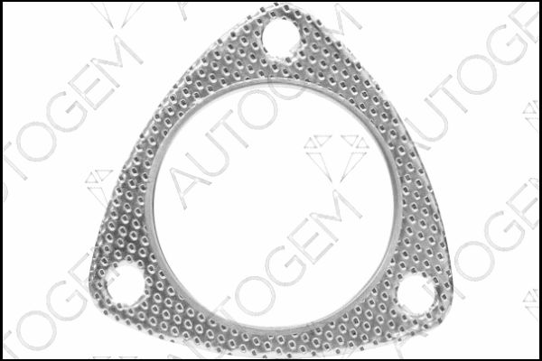 Gasket, exhaust pipe (CEG9509)
