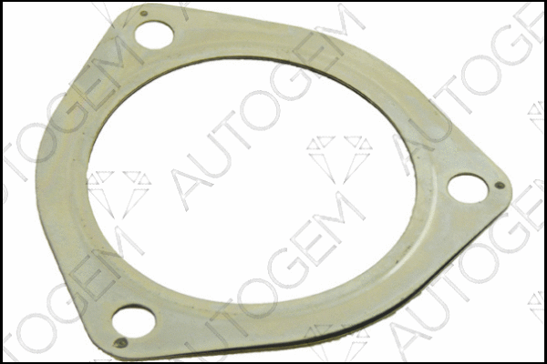 Gasket, exhaust pipe (CEG956)