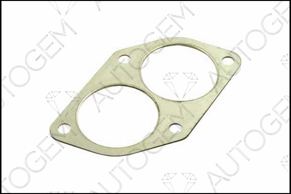 Gasket, exhaust pipe (CEG94)