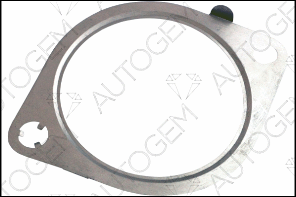 Gasket, exhaust pipe (CEG9308)