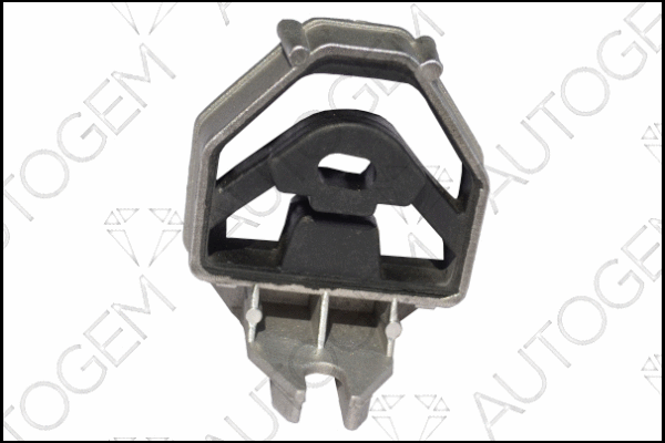 Mount, exhaust system (CSM791)