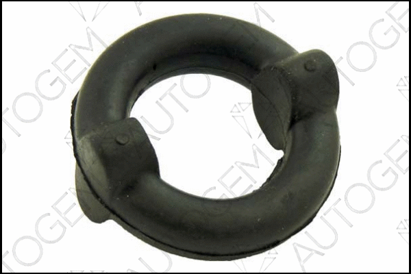 Mount, exhaust system (CSM115)