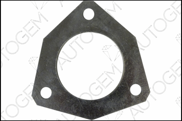 Gasket, exhaust pipe (CEG9552)