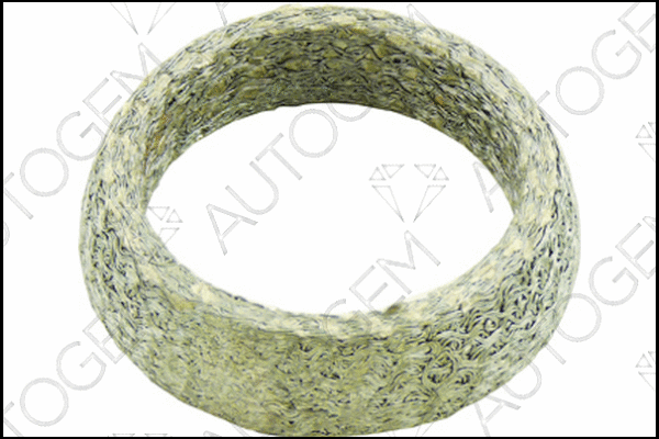 Seal Ring, exhaust pipe (CEG766)