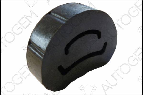 Mount, exhaust system (CSM255)