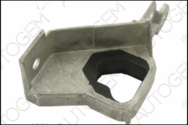 Mount, exhaust system (CSM810)