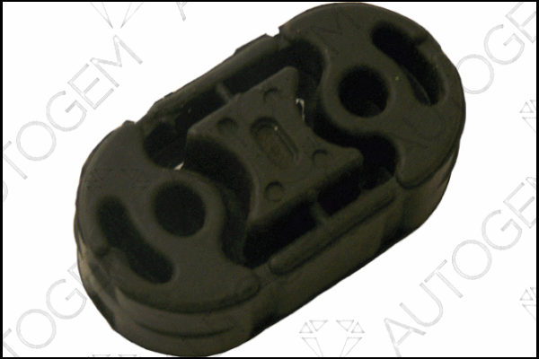 Mount, exhaust system (CSM465)