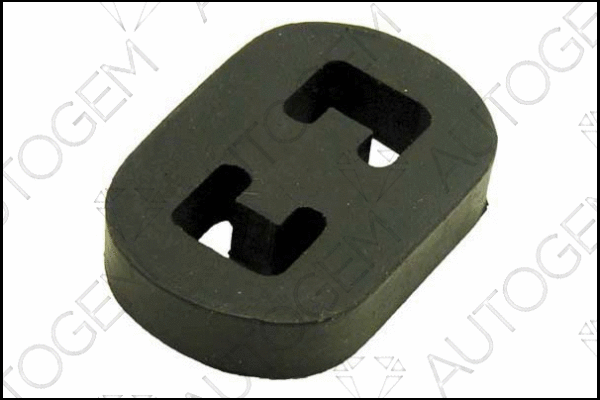 Mount, exhaust system (CSM38)