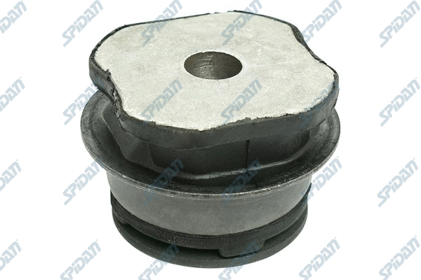 Bushing, axle beam (412095)