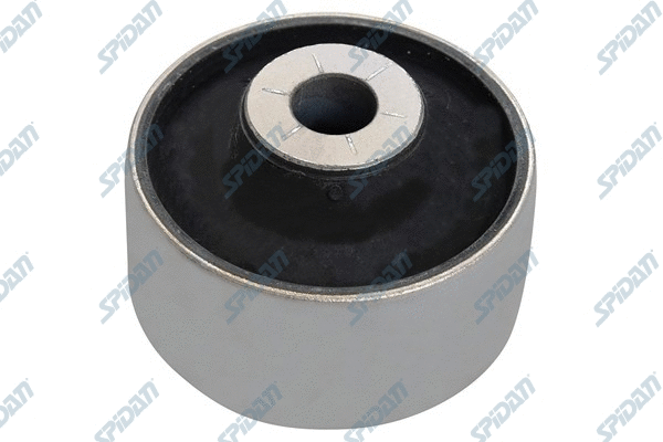 Mounting, control/trailing arm (413418)