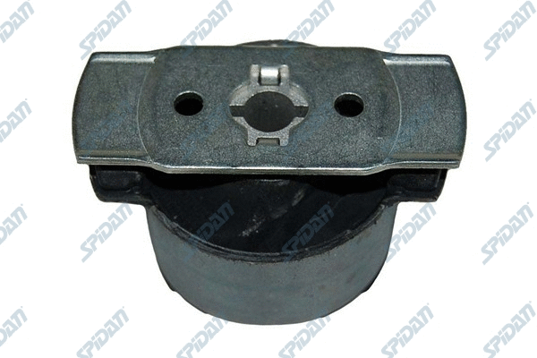 Bushing, axle beam (411720)