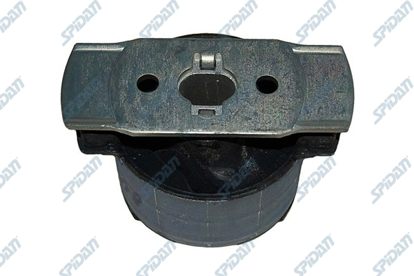 Bushing, axle beam (411719)