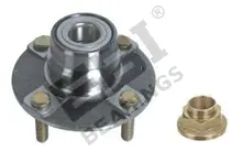 Wheel Bearing Kit (EBK2009)