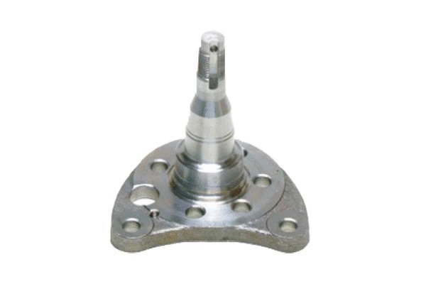 Kingpin, axle beam (333501118)