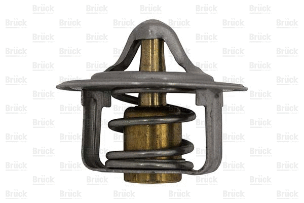 Thermostat, coolant (96143939)