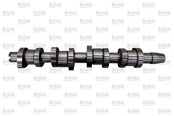 Camshaft (038109101R)