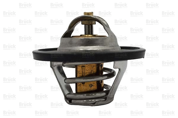Thermostat, coolant (050121113C)