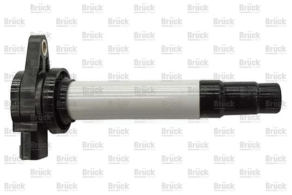 Ignition Coil (224484M500)