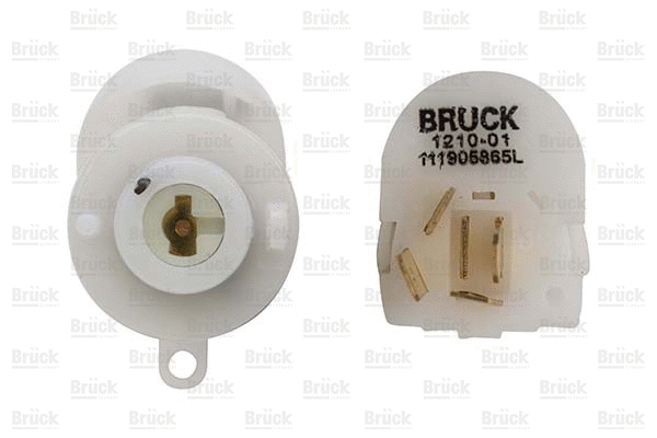 Ignition Switch (111905865L)