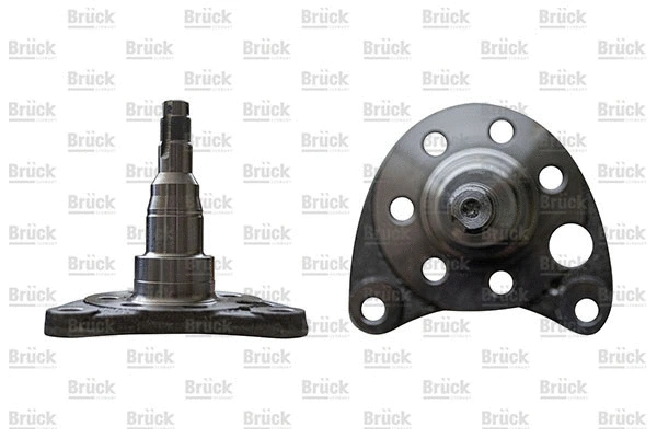 Kingpin, axle beam (333501117)
