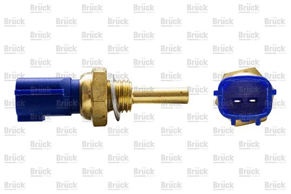 Sensor, coolant temperature (2263044B20)
