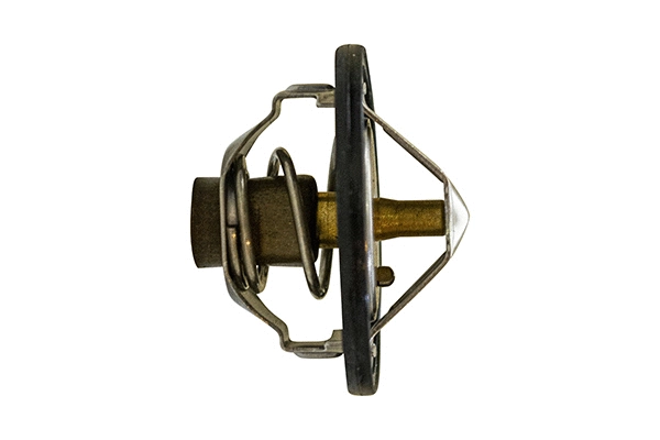 Thermostat, coolant (21200H7800)