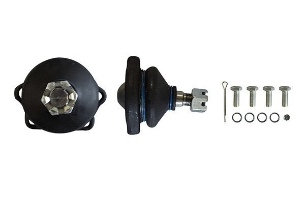 Ball Joint, axle strut (40110T3060-EURO)