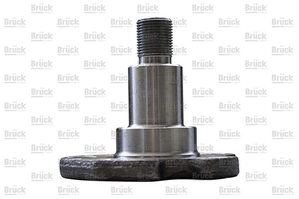 Kingpin, axle beam (1J0501117B)