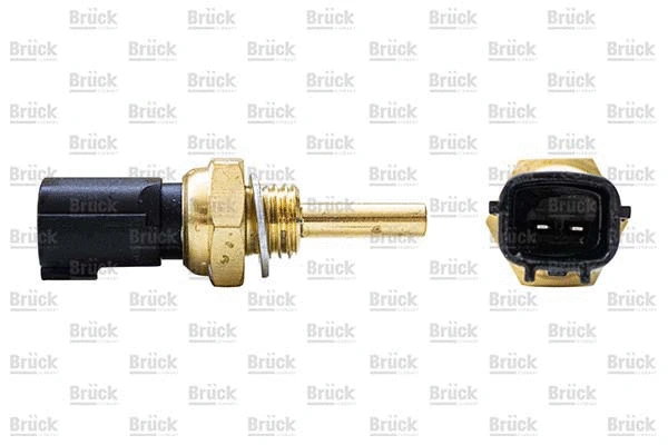 Sensor, coolant temperature (2263044B10)