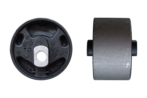 Holder, engine mounting system (171199214G)