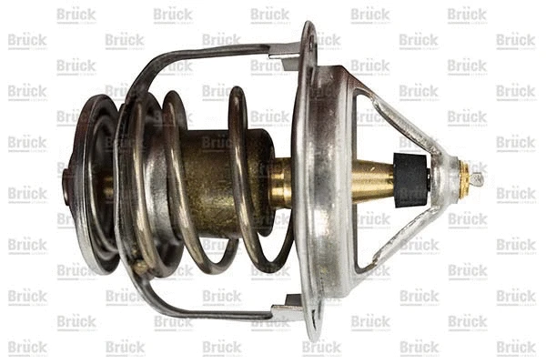 Thermostat, coolant (2120077A63)