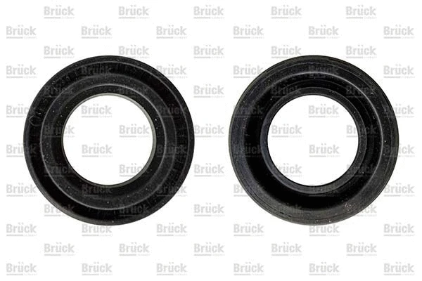 Seal Ring, spark plug shaft (1327653Y0A)