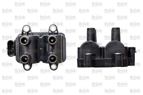 Ignition Coil (224336134R)