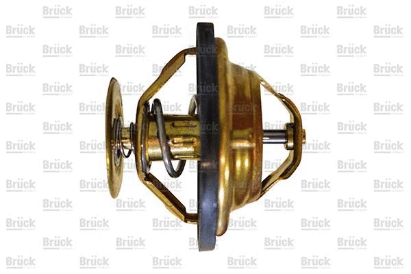 Thermostat, coolant (075121113D)