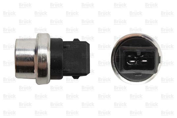 Sensor, coolant temperature (251919501D)