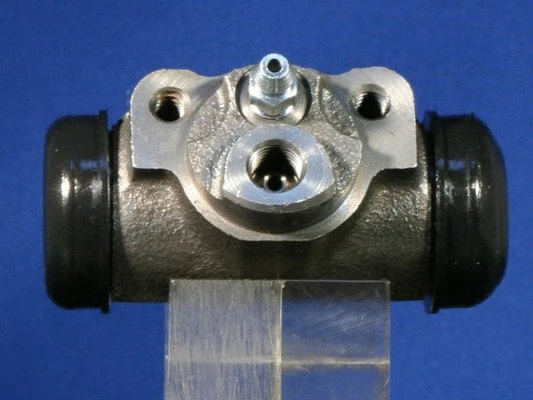 Wheel Brake Cylinder (FDJB9913)