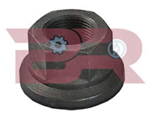 Wheel Nut (BRD1276)