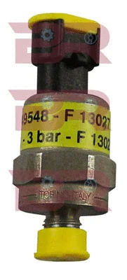 Pressure Switch (BREL9548)