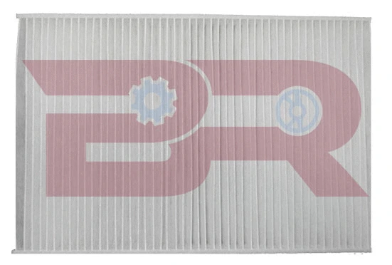 Filter, cabin air (BRAC2821)